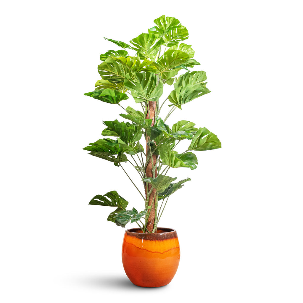 Monstera Moss Pole Swiss Cheese Plant Artificial In Charlotte Pot Orange 