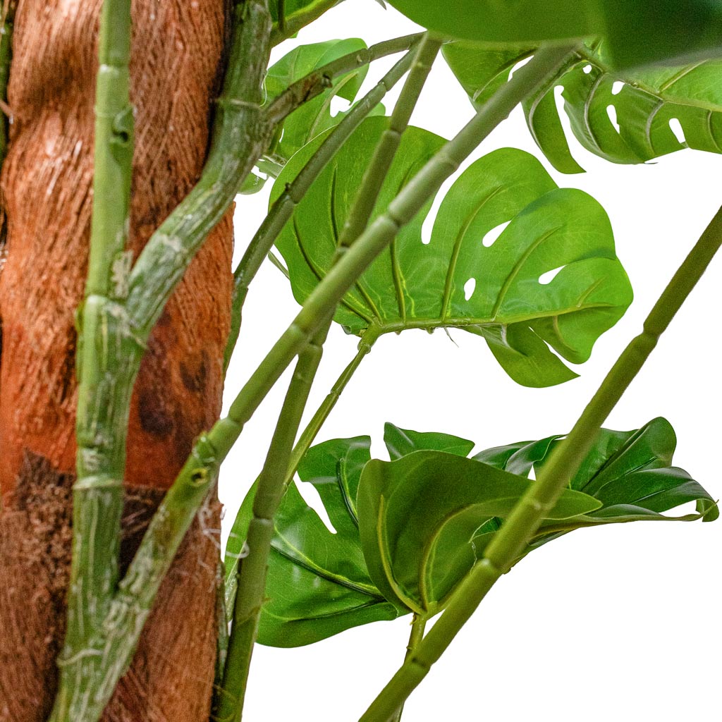 Monstera Moss Pole Swiss Cheese Plant Artificial Trunk & Leaves 