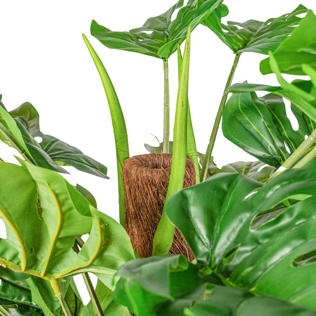 Monstera Moss Pole Swiss Cheese Plant Artificial