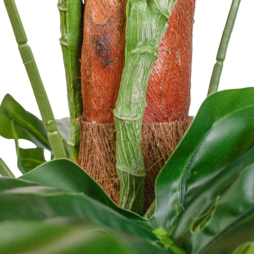 Monstera Moss Pole Swiss Cheese Plant Artificial CLose Up Of Moss Pole & Leaves 