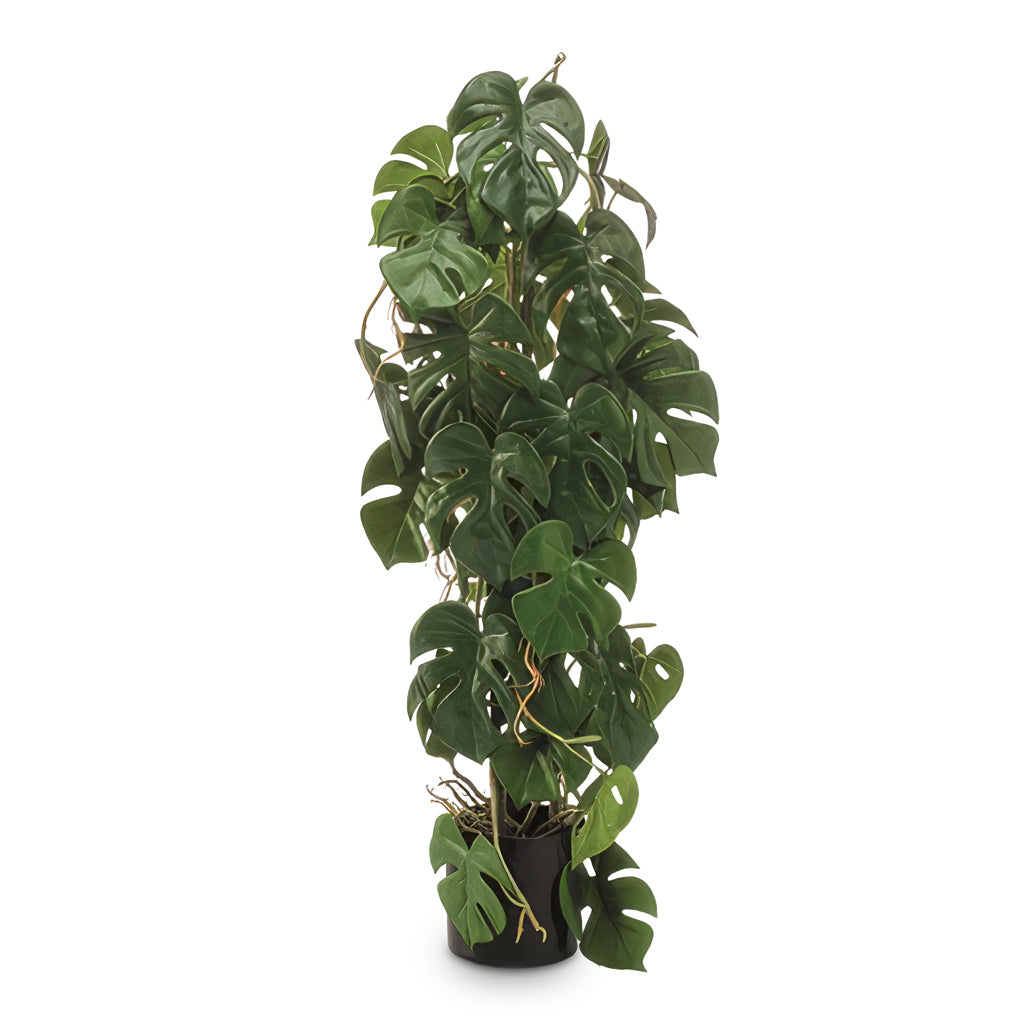 Monstera Swiss Cheese Plant Pyramid Potted 75cm 3 Stem Artificial