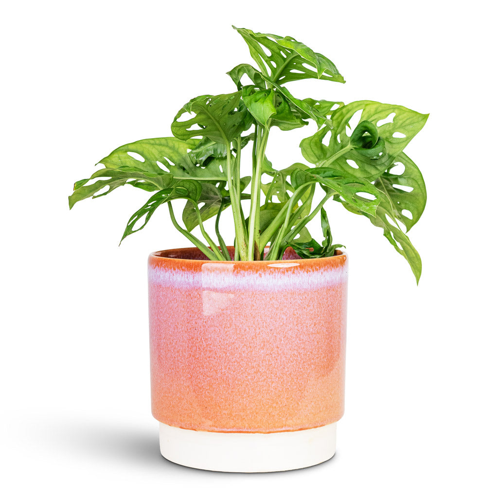 pink indoor plant pot Copenhagen Plant Pot - Pink - Quality Plant Pots | Hortology