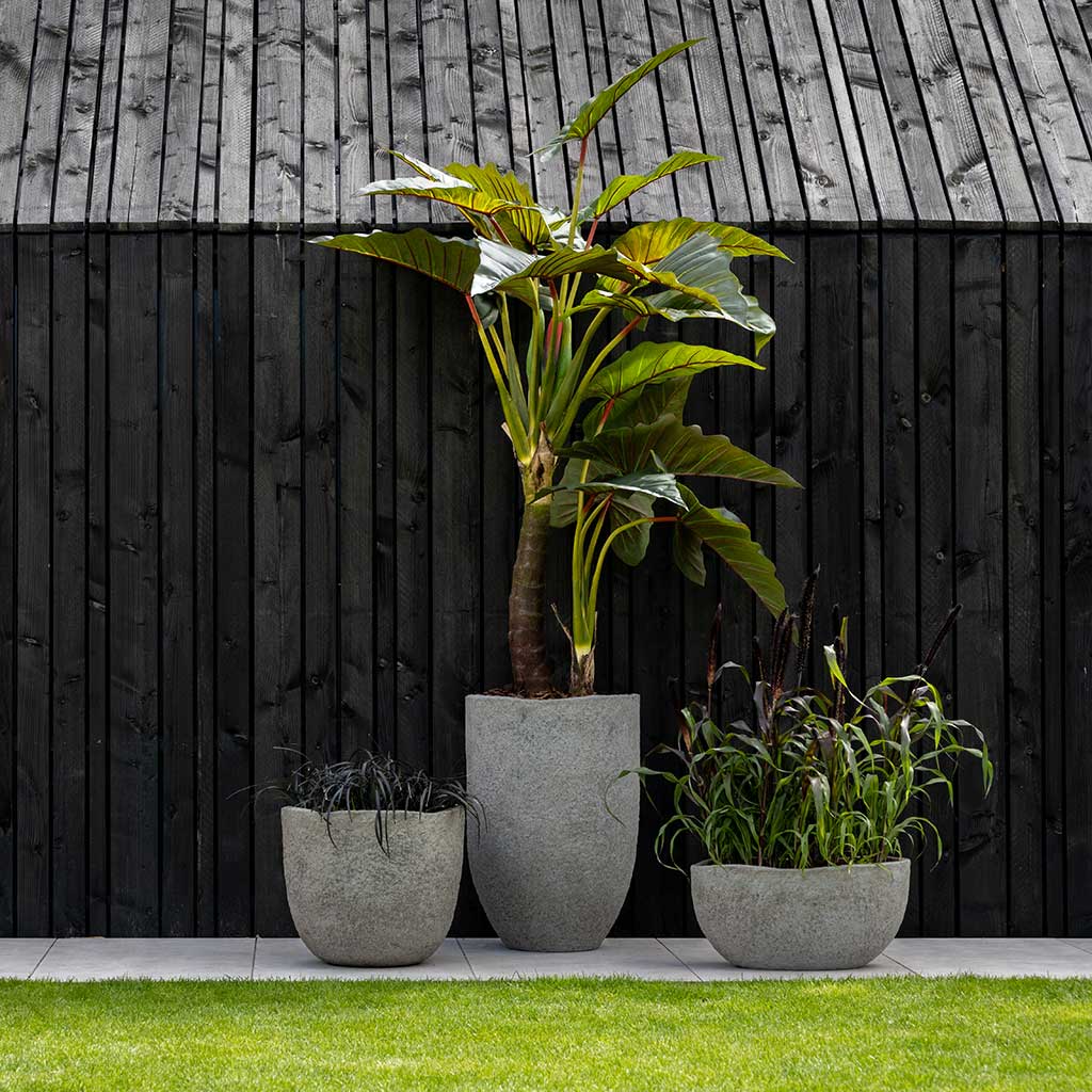 Mountain Planters Collection