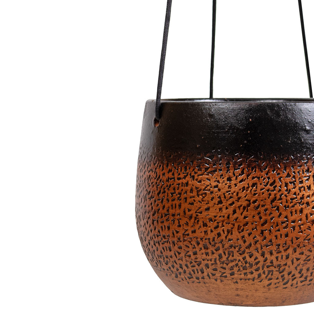 Mya Hanging Planter - Shiny Mocha - 18 x 16cm