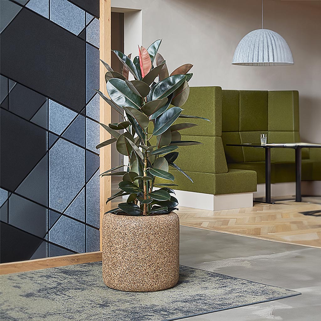 Naturescast Cylinder Planter - Natural In Office