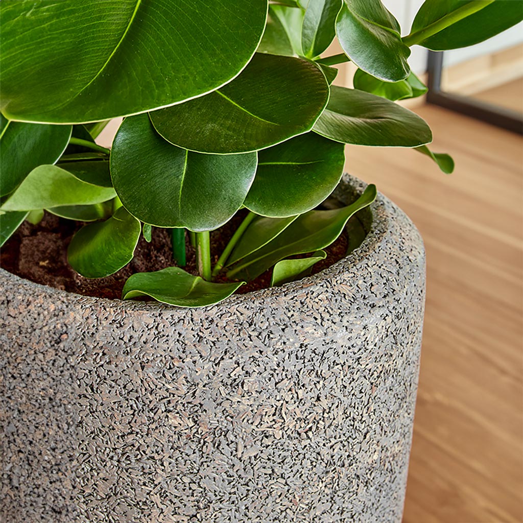 Naturescast Partner Planter - Grey & Clusia