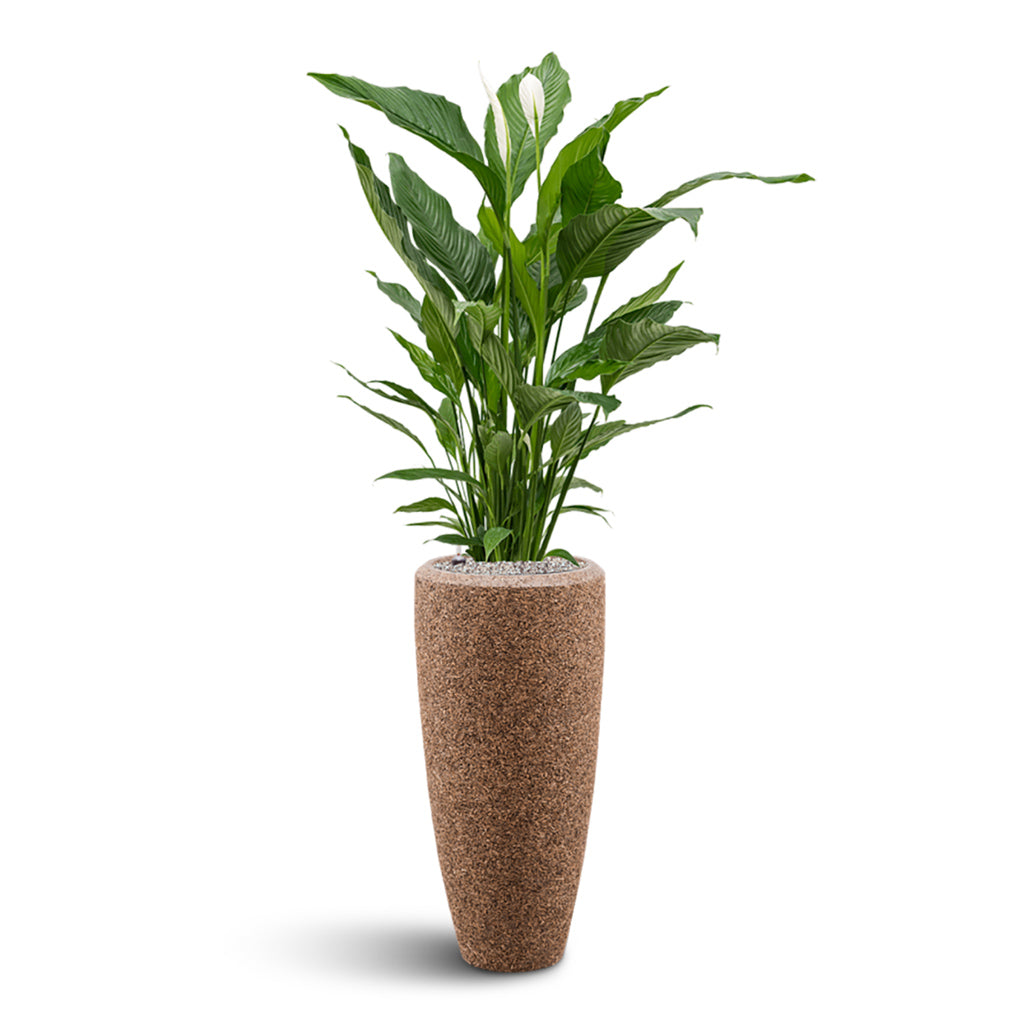 Naturescast Partner Planter - Natural
