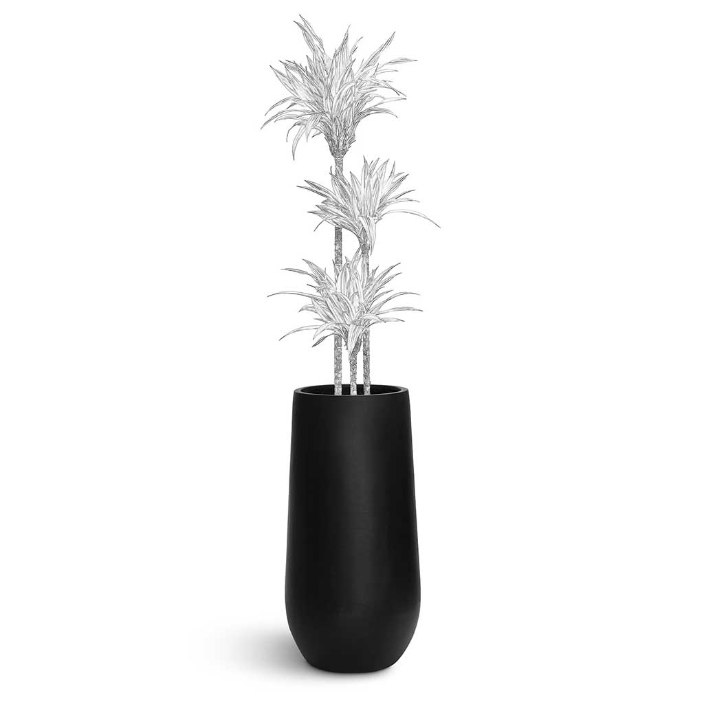 Nax Natural Tall Planter - XL Plant Display