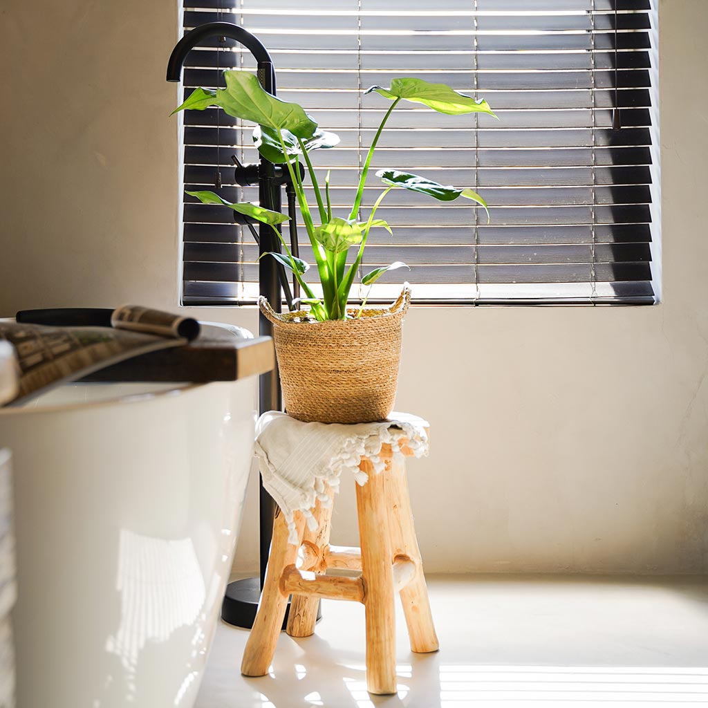 Nelis Plant Basket - Natural In Bathroom