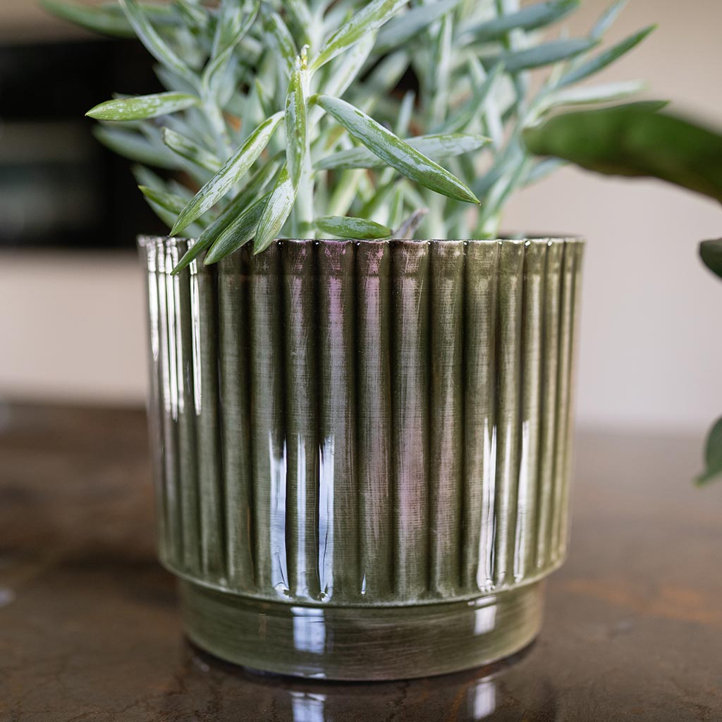 Nella Plant Pot - Forest & Senecio