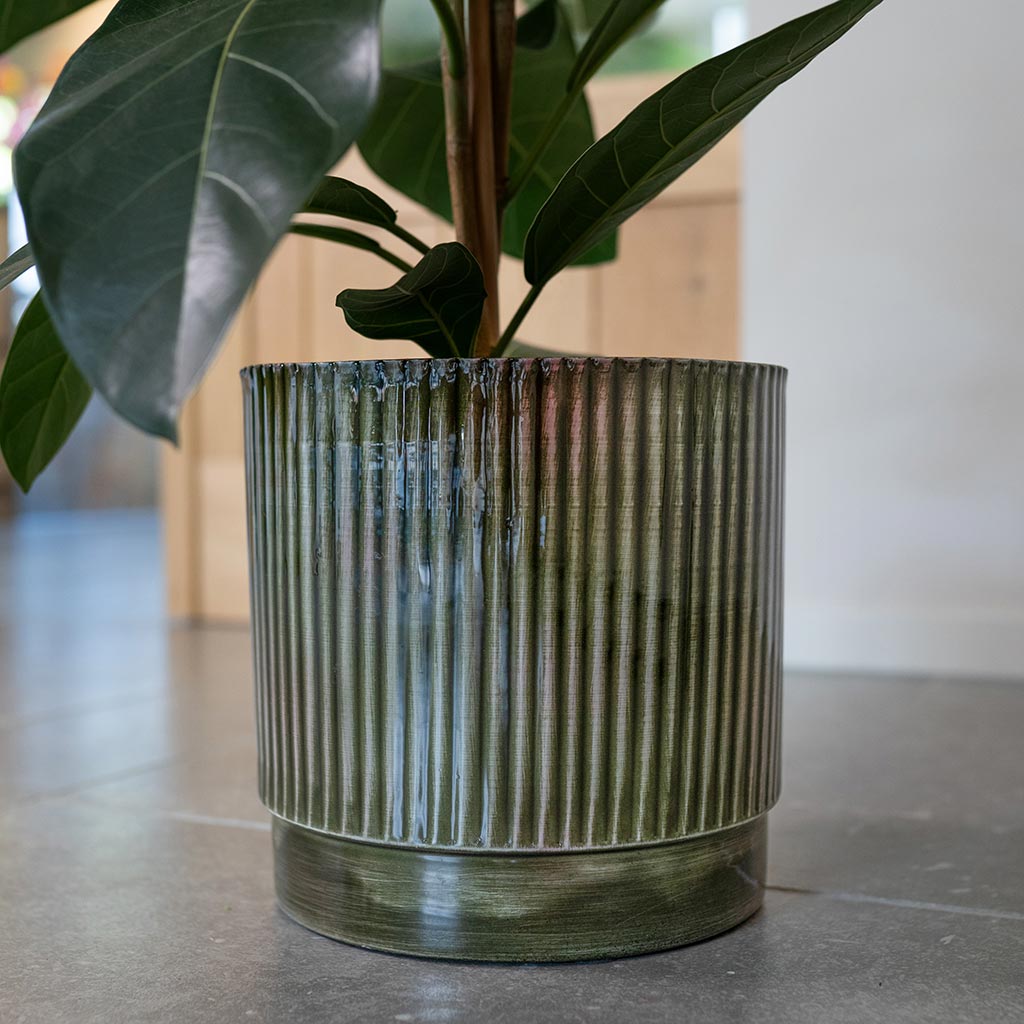 Nella Plant Pot - Forest & Ficus