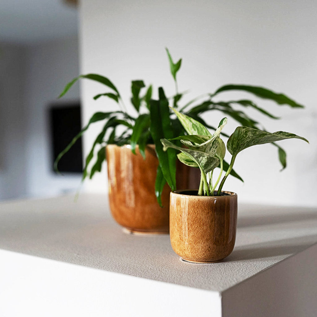 Nine Plant Pots - Small & Medium