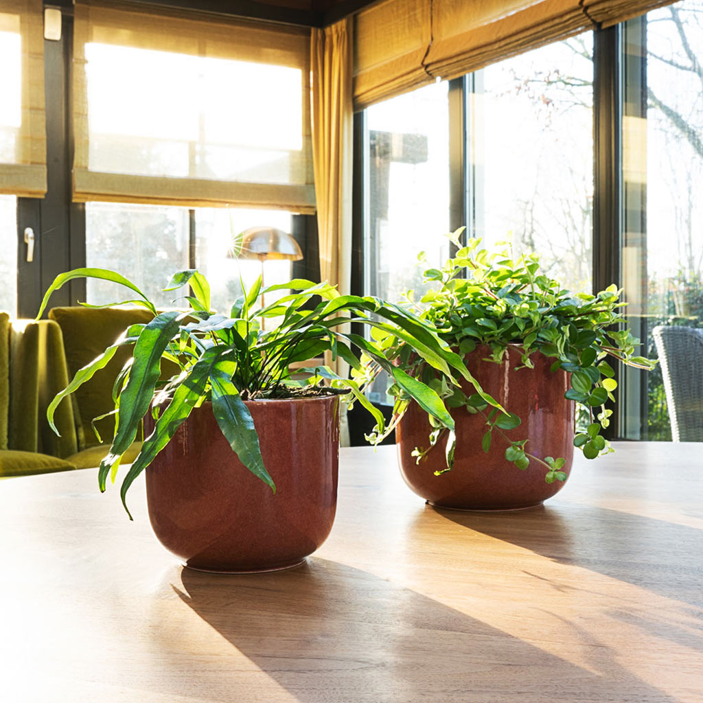 Nine Blush Pink Plant Pots On Table 