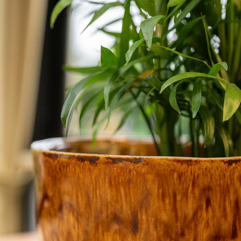 Nolan Plant Pot - Caramel Close Up