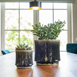 Nolan Plant Pots - Pine & Indoor Succulents