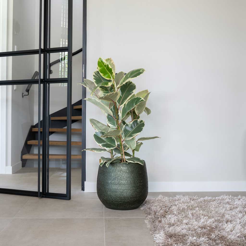 Noor Plant Pot - Velvet Green