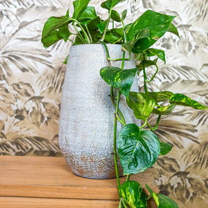 Noor Plant Vase - Metallic Grey