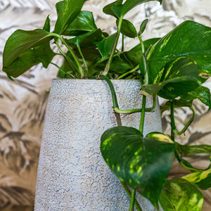 Noor Plant Vase - Metallic Grey