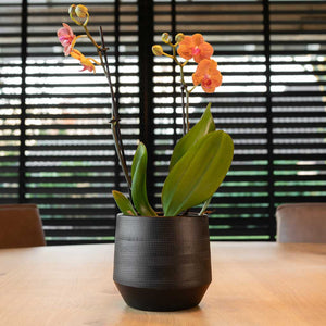 Norell Plant Pot - Black & Orchid