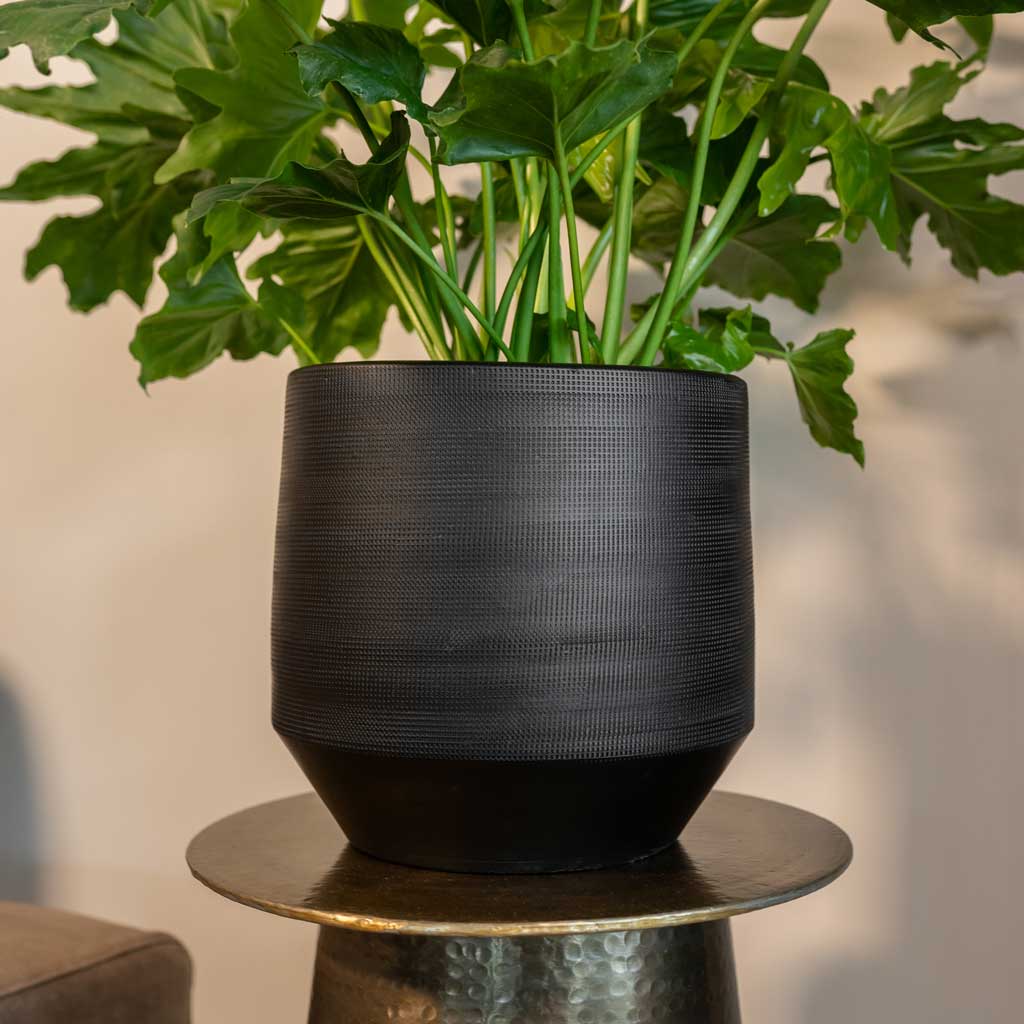 Norell Plant Pot - Black On Hammered Brass Table