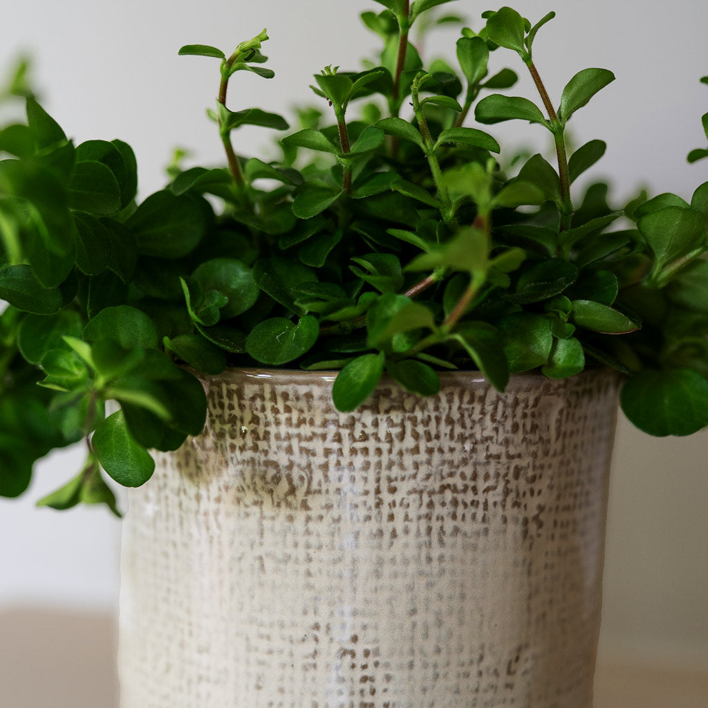 Nouri Pot Ivory Close Up Lifestyle