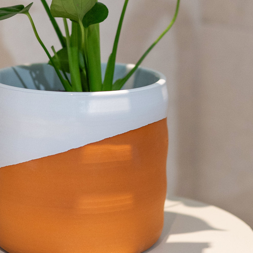 Monstera Deliciosa In odin White Terracotta
