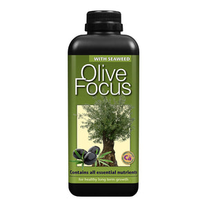 Olive Focus - Plant Nutrition - 300ml