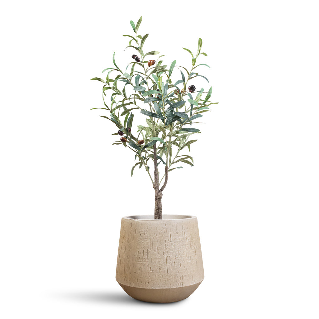 Olive Tree Artificial In Raindrop Tube Round Planter Stone