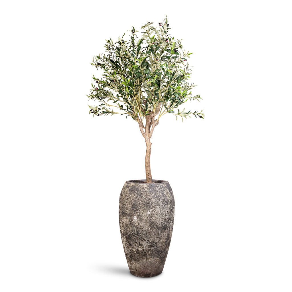 Olive Tree Potted Artificial 180cm House Plant in Sandora Emperor Brown 45x75cm