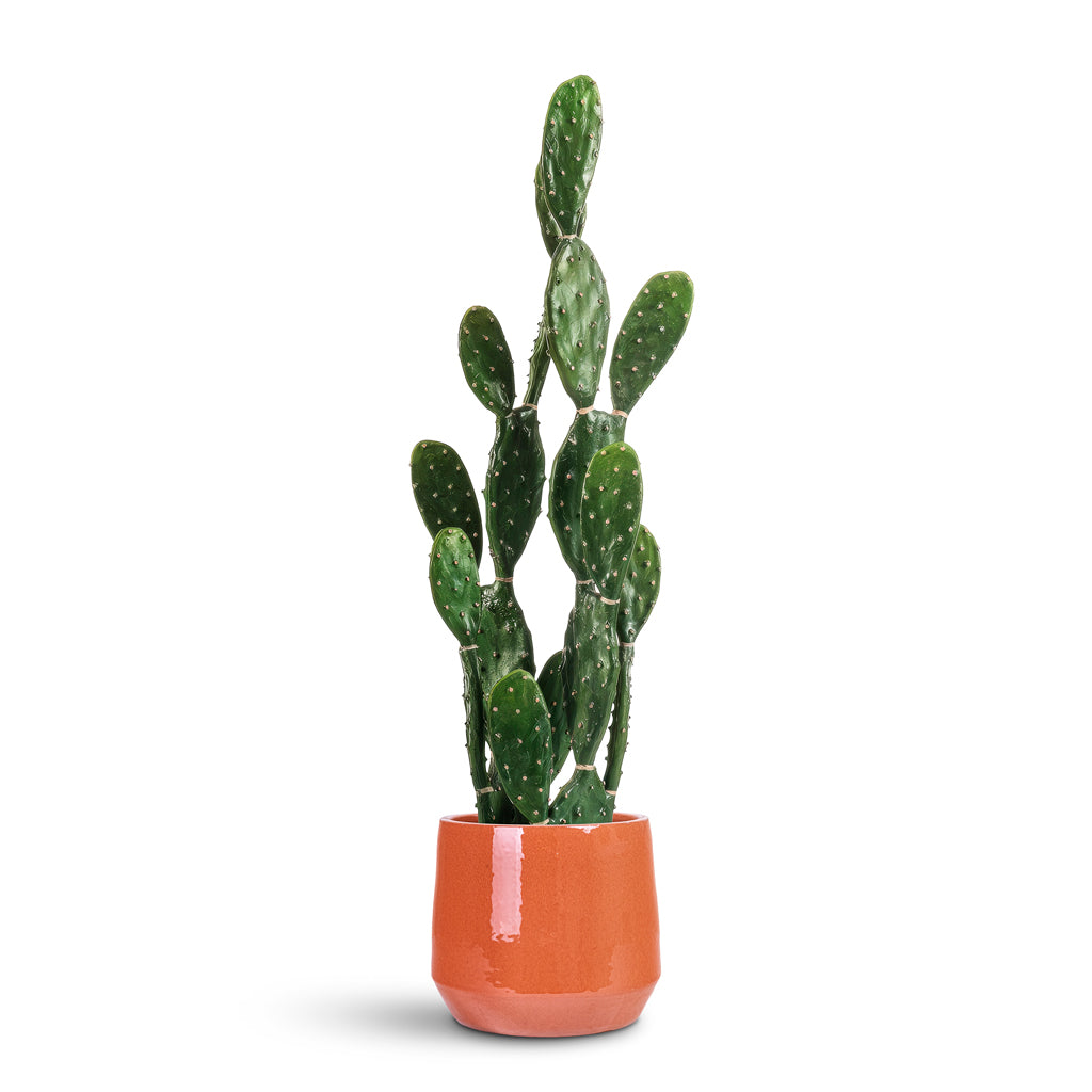 Opuntia Cactus Potted Artificial 100cm house plant in Common Pot Shiny Brick 19x17cm