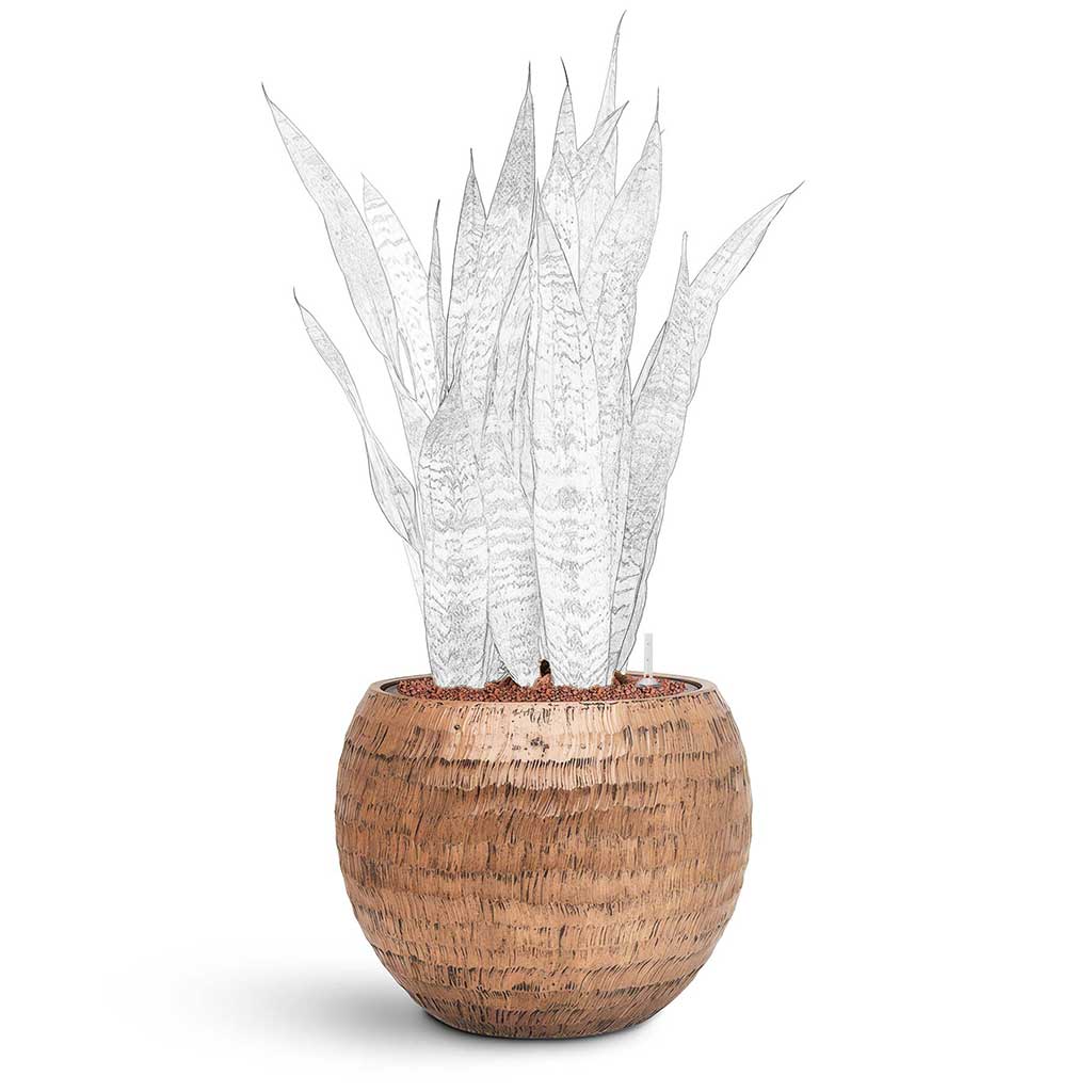 Opus Hammered Globe Planter - Large Plant Display