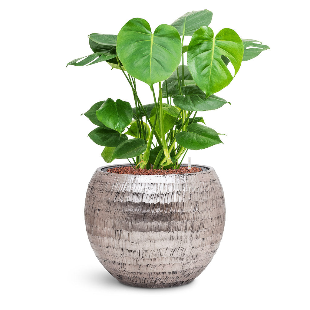 Opus Hammered Globe Planter - XL Plant Display