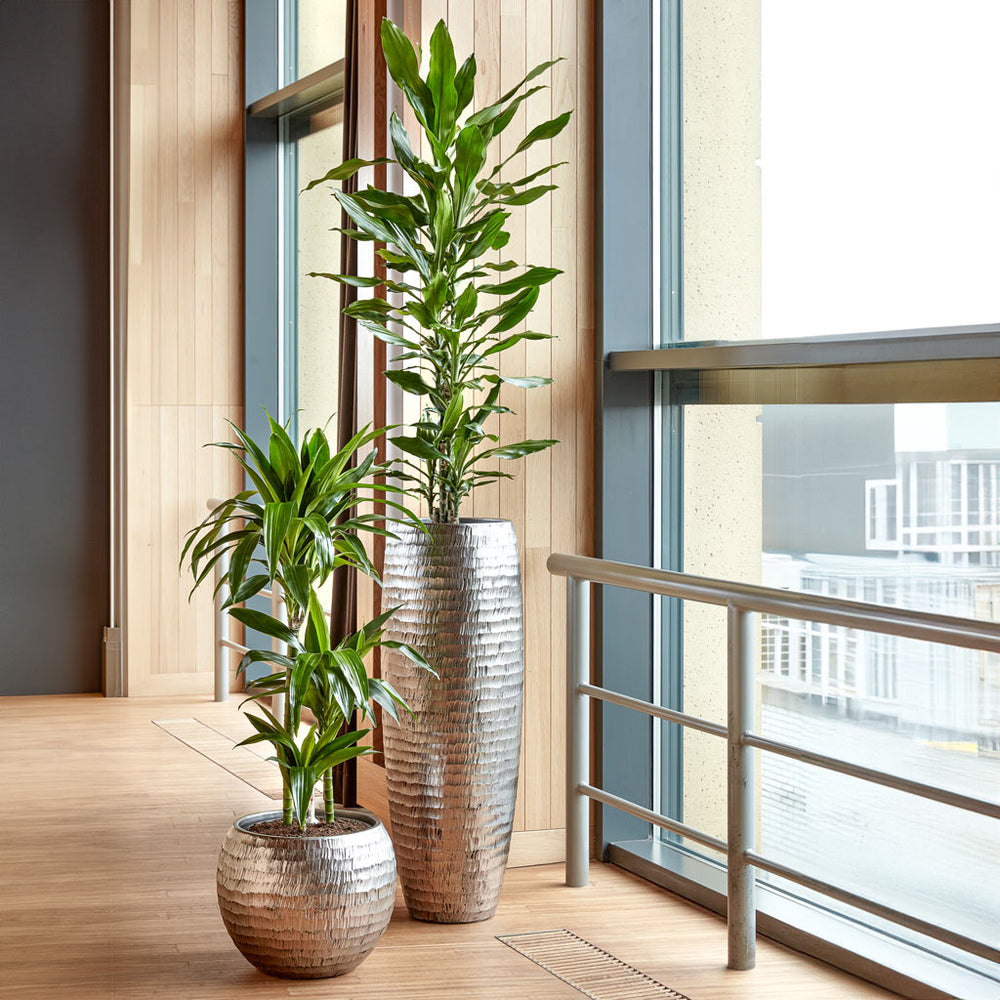 Opus Hammered Globe Planter - Silver On Balcony