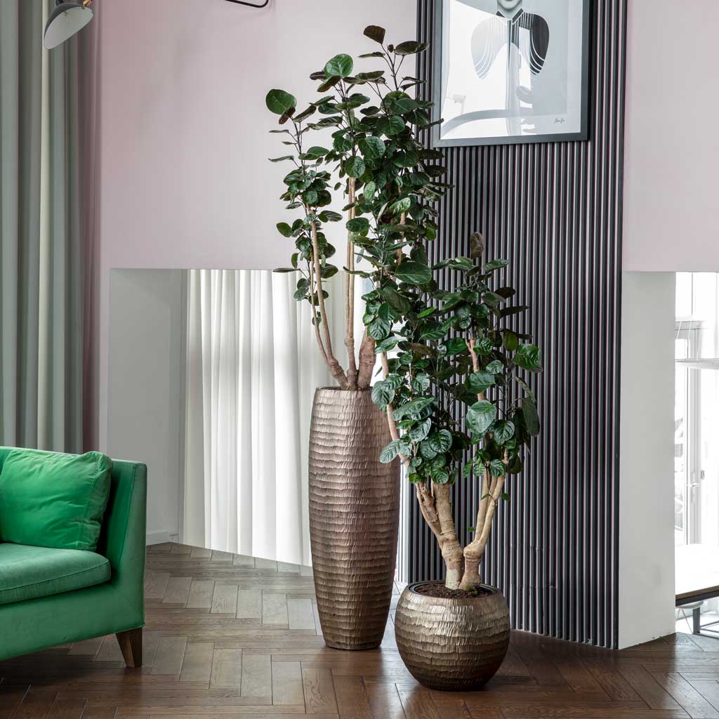 Opus Hammered Partner Planter - Gold