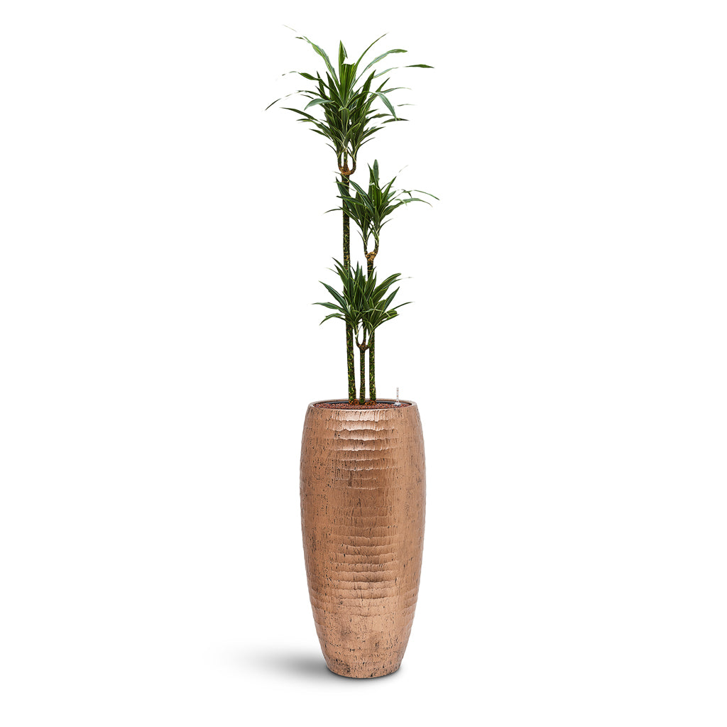 Opus Hammered Partner Planter - Plant Display