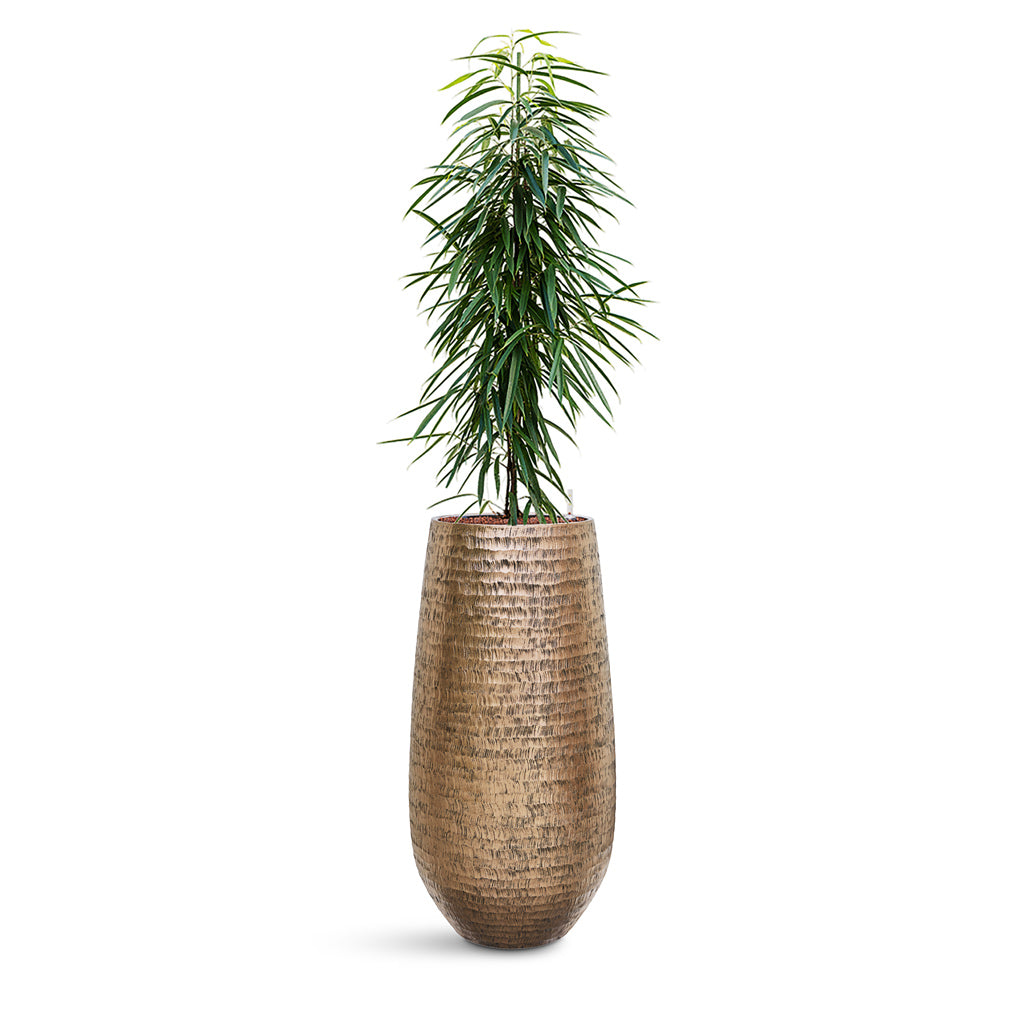 Opus Hammered Partner Planter - Plant Display