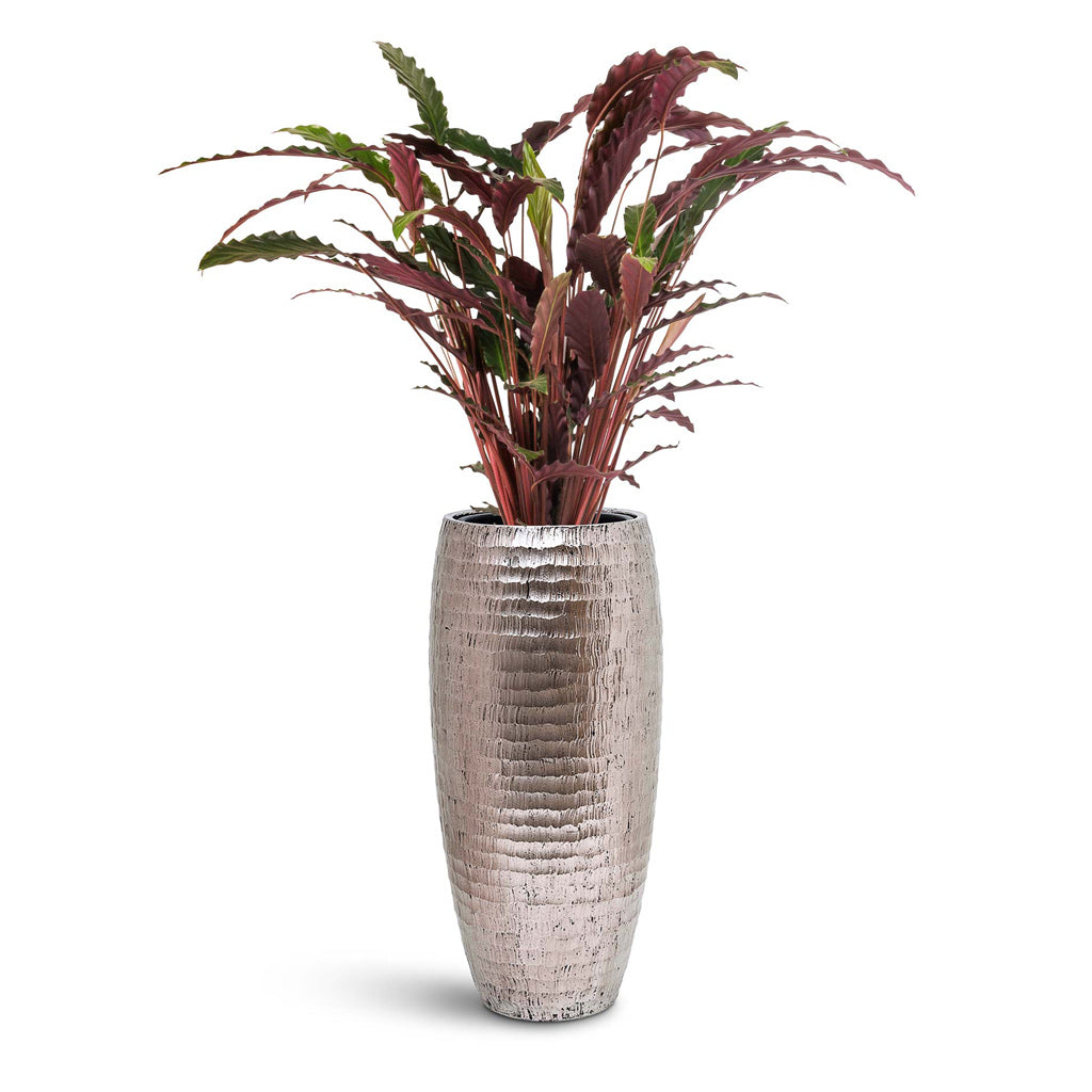 Opus Hammered Partner Planter - Plant Display