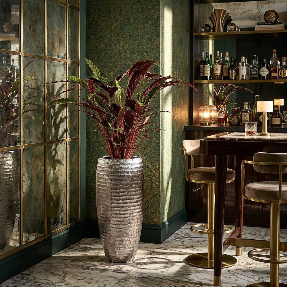 Calathea rufibarba - Velvet Calathea in Opus Hammered Partner Planter - Silver