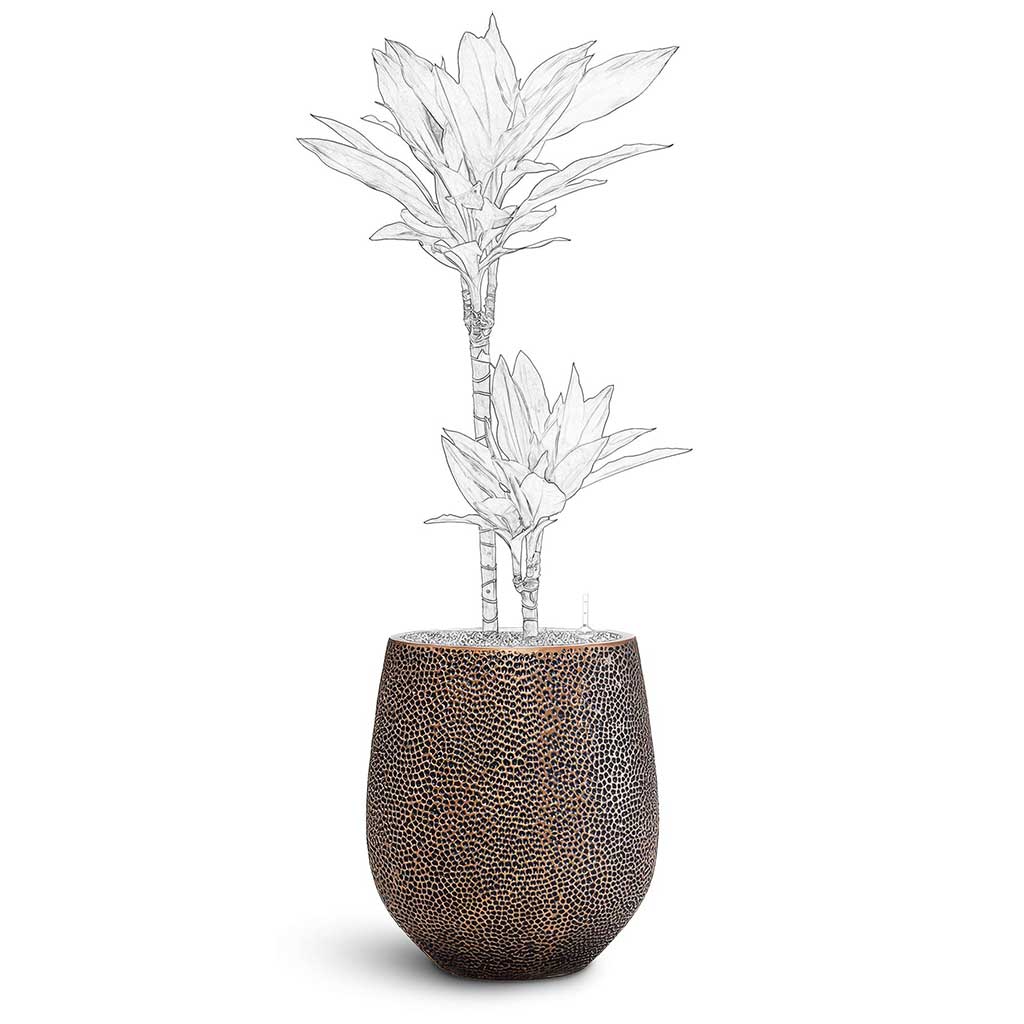 Opus Hit Darcy Planter - Large Plant Display