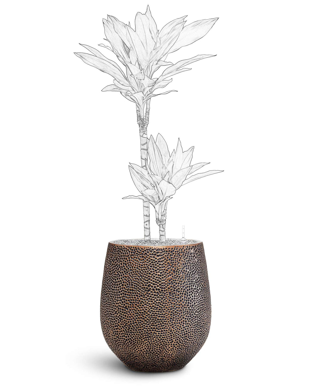 Opus Hit Collection The Opus Collection - Plant Displays | HORTOLOGY