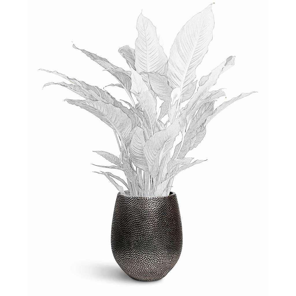 Opus Hit Darcy Planter - XL Plant Display
