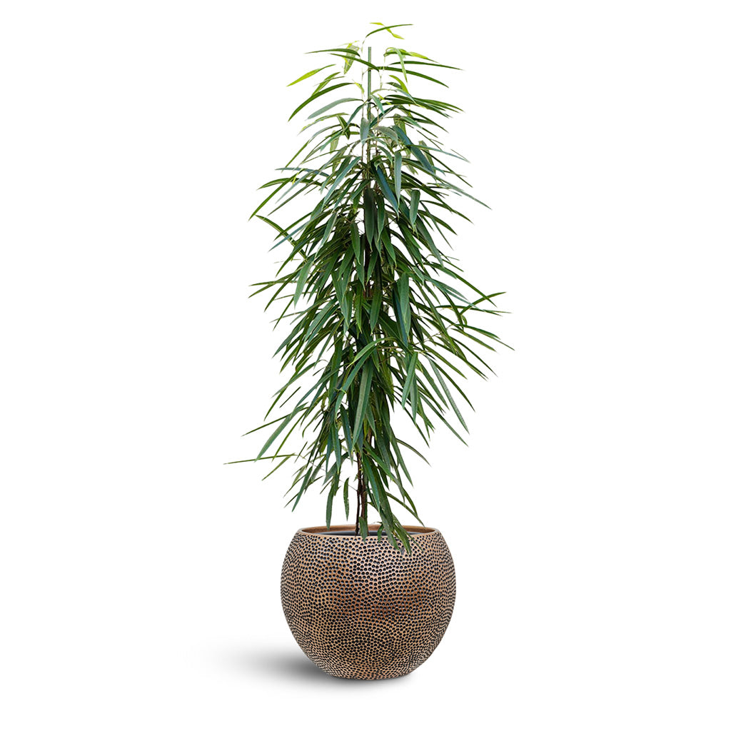 Opus Hit Globe Planter - Large Plant Display