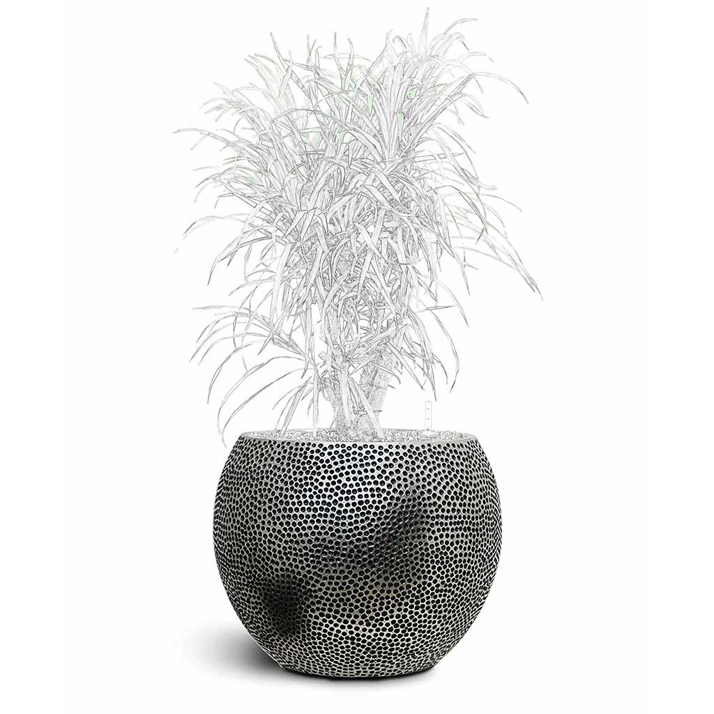 Opus Hit Globe Planter - Large Plant Display