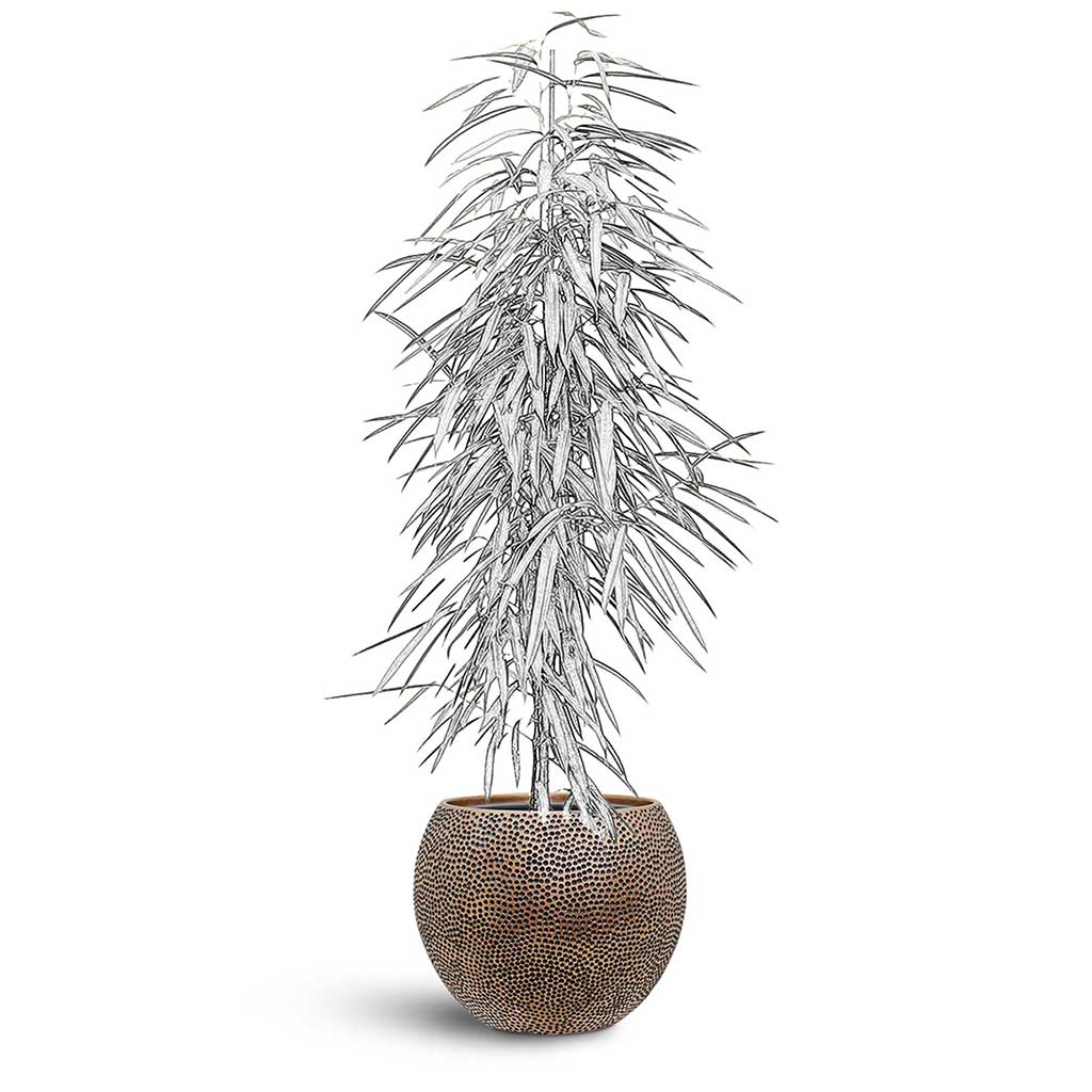 Opus Hit Globe Planter - XL Plant Display