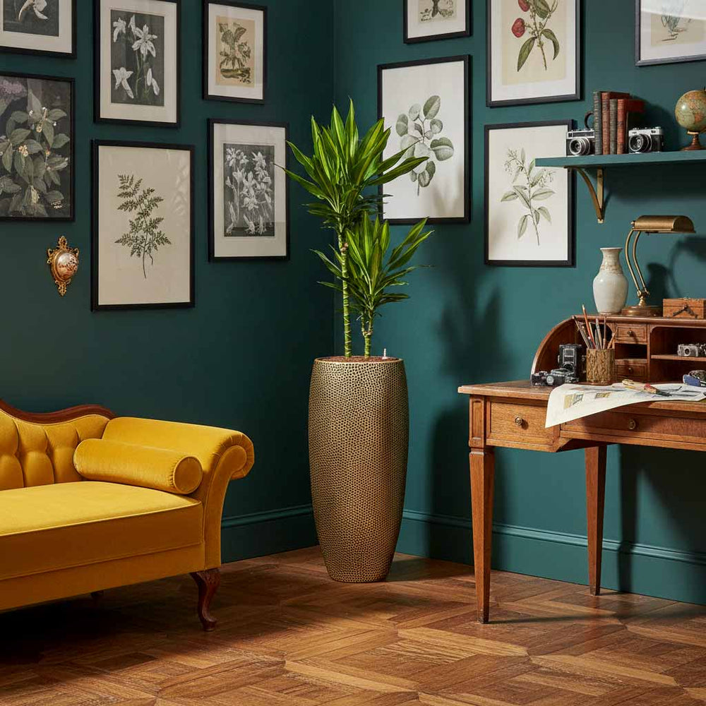 Dracaena in Opus Hit Partner Planter - Gold