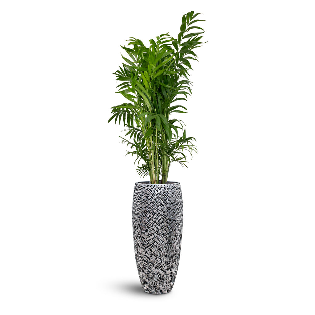 Opus Hit Partner Planter - Plant Display