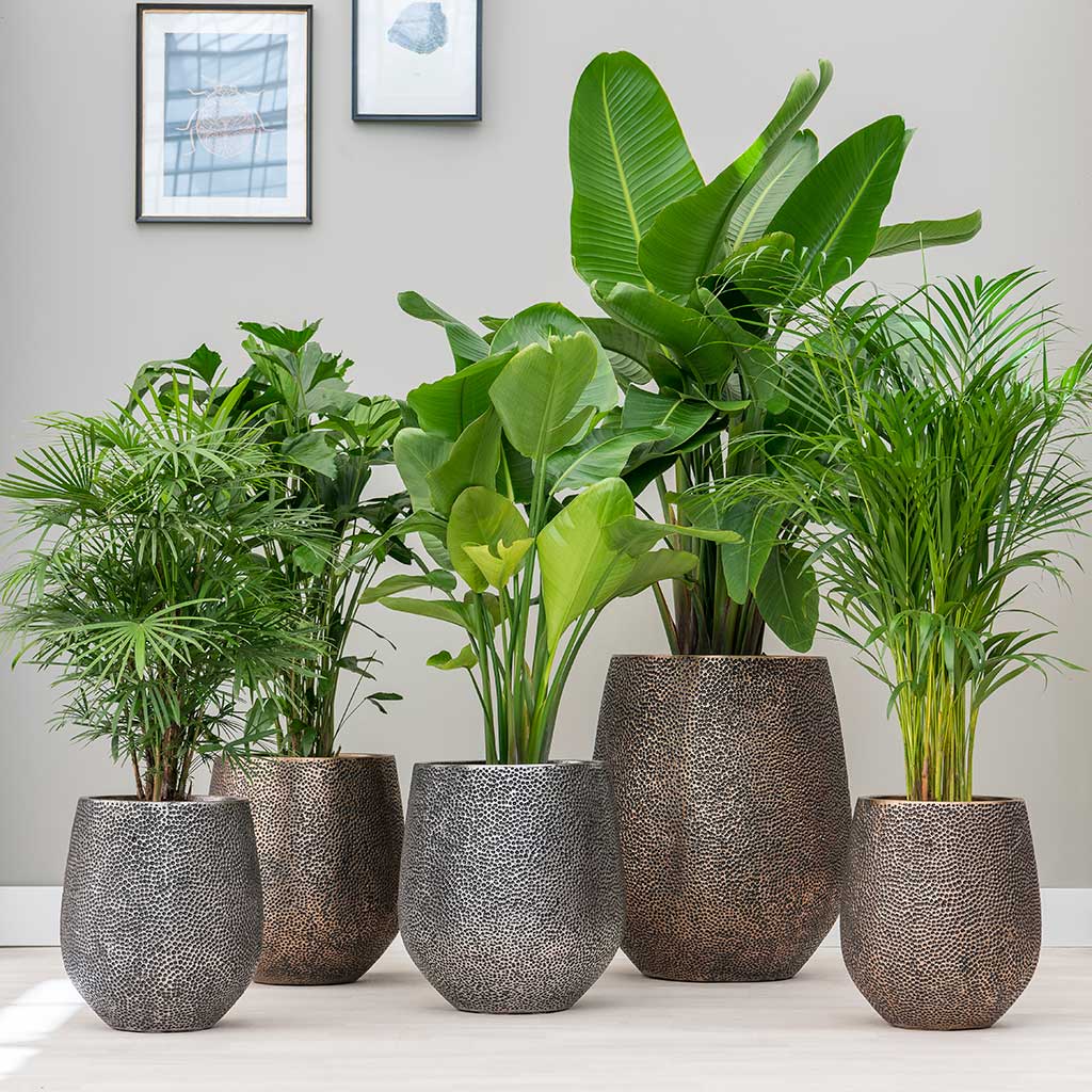 The Opus Hit Planter Collection
