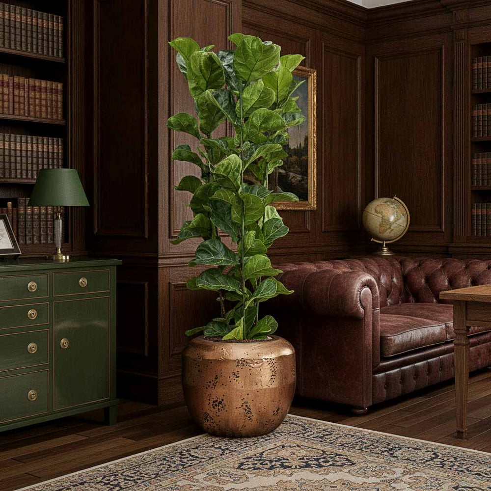 Ficus lyrata Bambino - HydroCare in Opus Raw Couple Planter - Gold