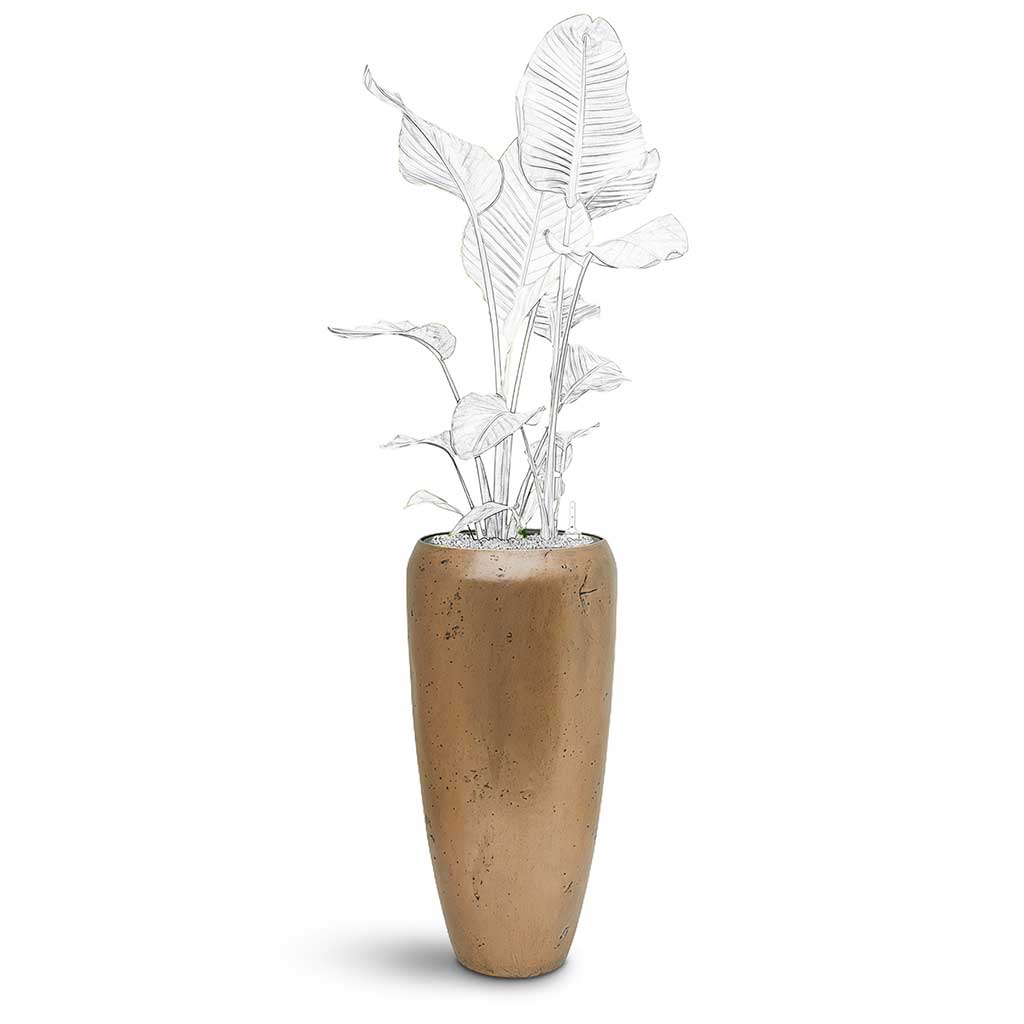 Opus Raw Partner Planter - XL Plant Display