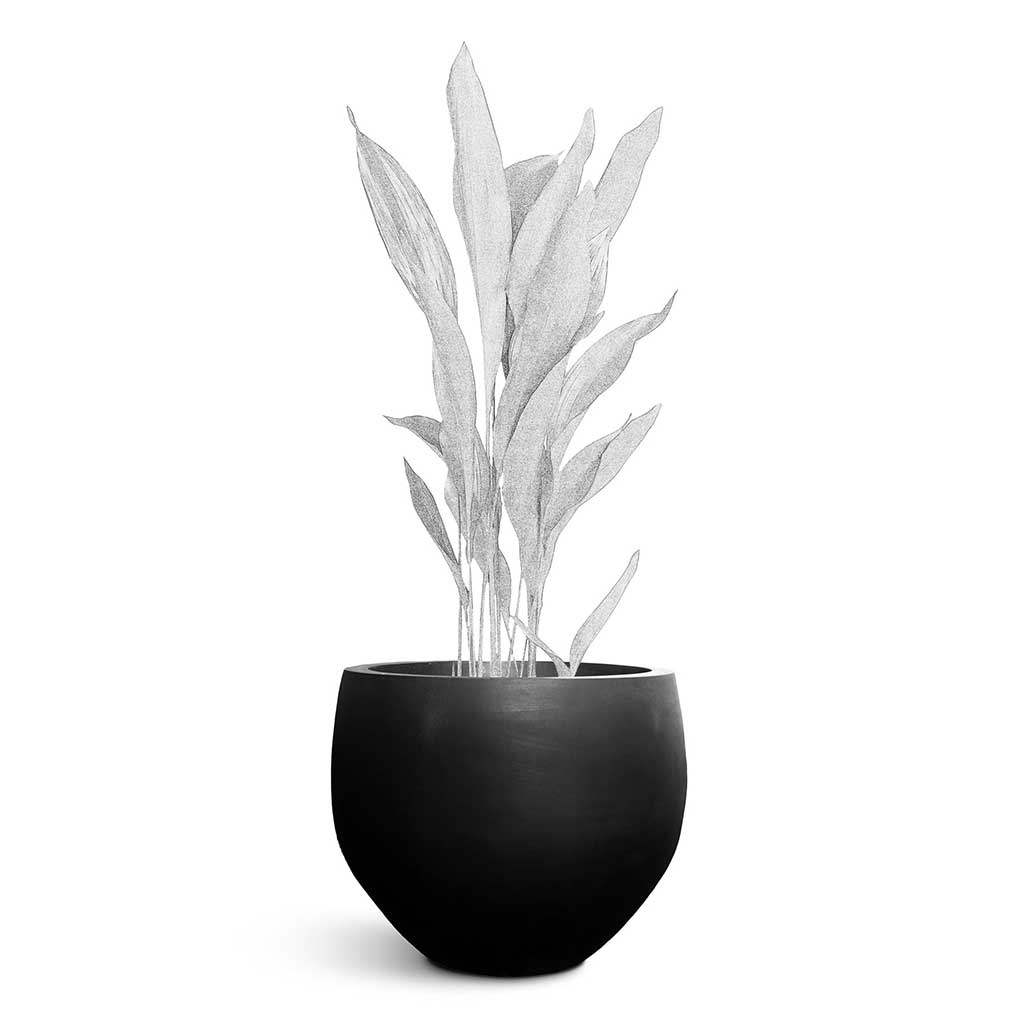 Orb Natural Planter - Large Plant Display